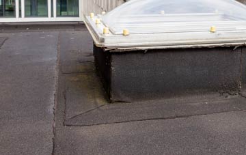 disadvantages of Caroy flat roofs