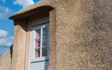 Caroy thatch roof disadvantages