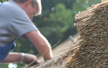 professional Caroy thatchers