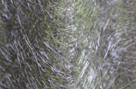 Caroy fibreglass roof work