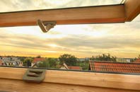 rated Caroy roof window companies